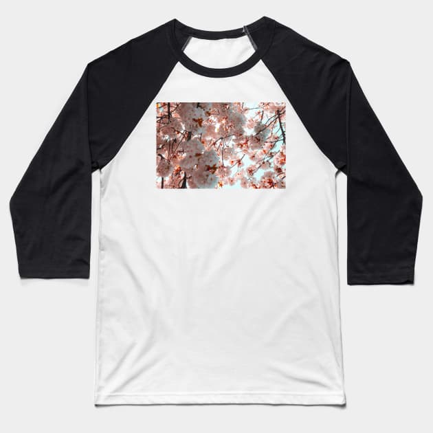 White Cherry Blossom Tree Baseball T-Shirt by Alemway